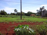 TERRENO EN EL KM 31 LADO ACARAY SOBRE RUTA NRO 07